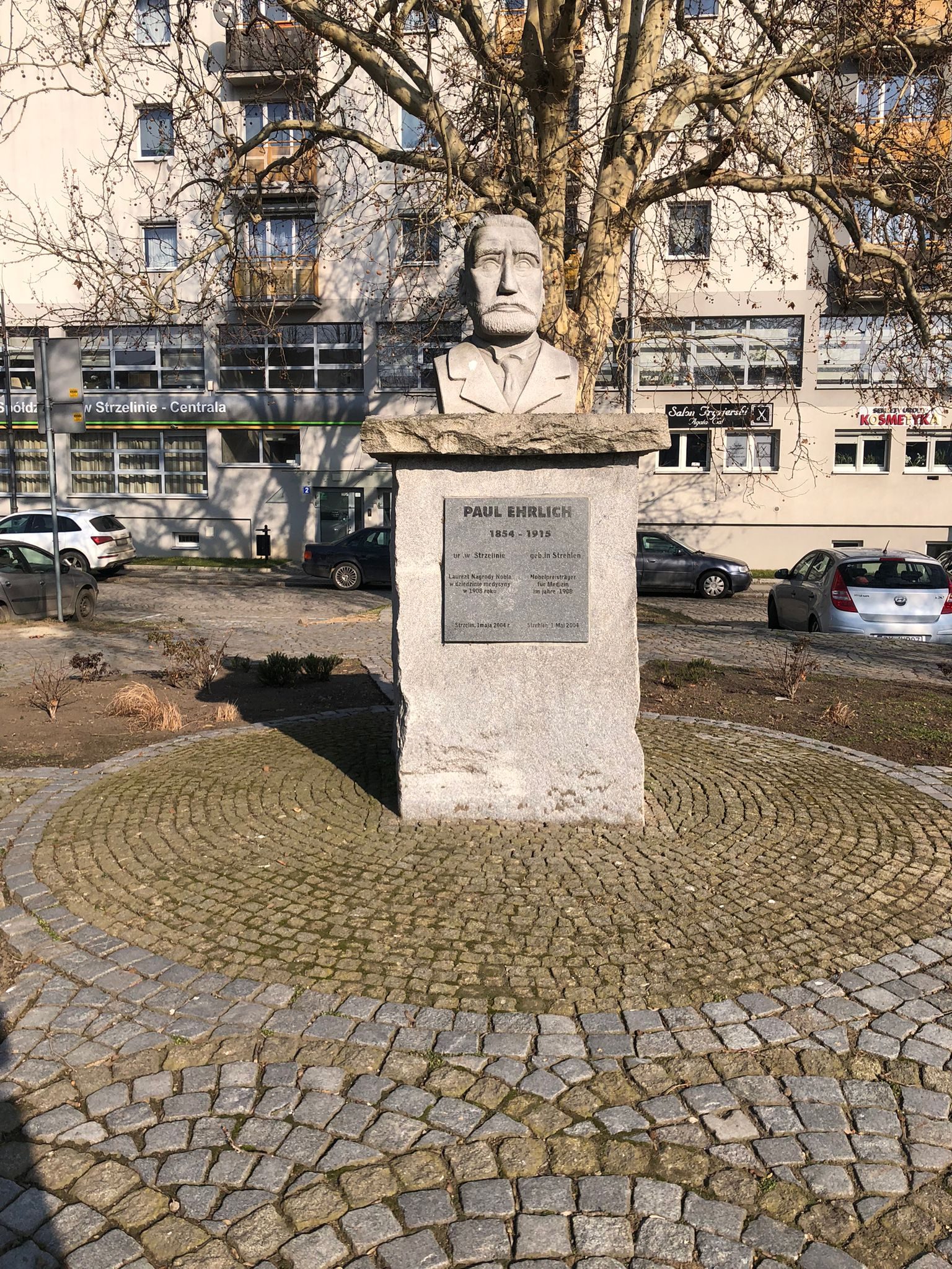 Paul Ehrlich's bust, Strzelin (1).jpg